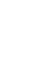 flight_parallax